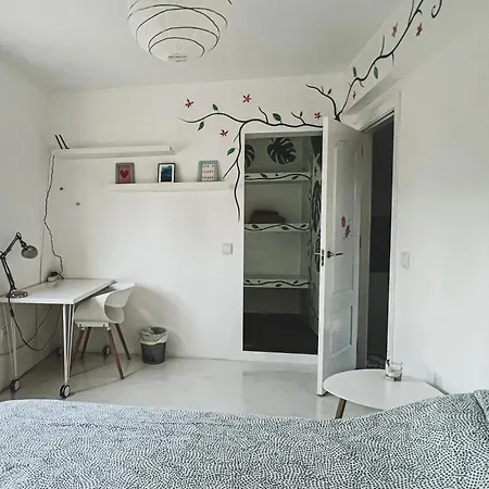 Guest house Kauri Nomad Surf & Kite House *